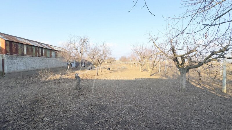 Casa traditionala aproape de Giurgiu – locul perfect pentru iubitorii de natura