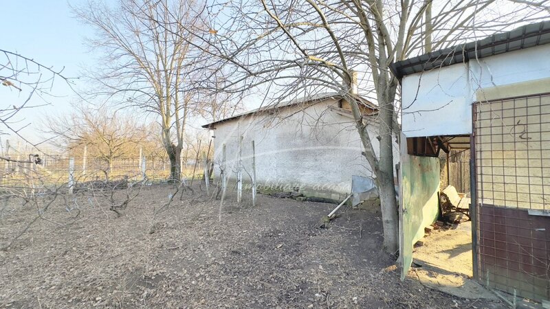 Casa traditionala aproape de Giurgiu – locul perfect pentru iubitorii de natura